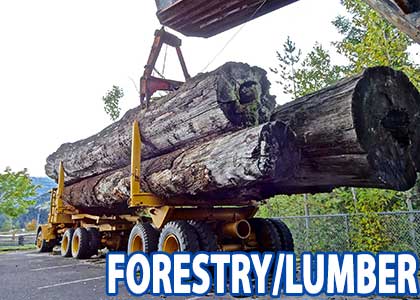 Forestry Lumber Packaging Wholesaler
